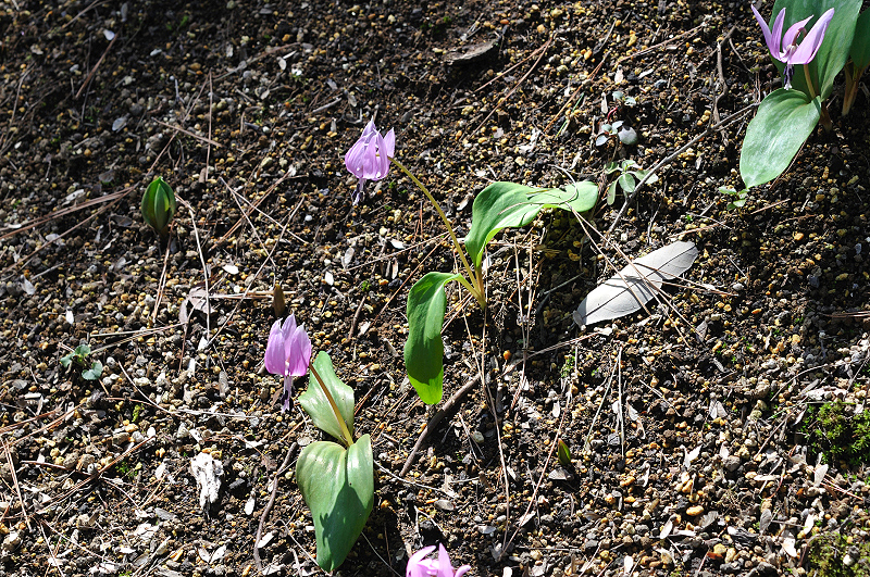 image0159