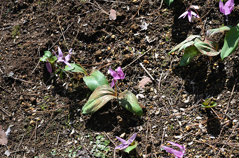image0160