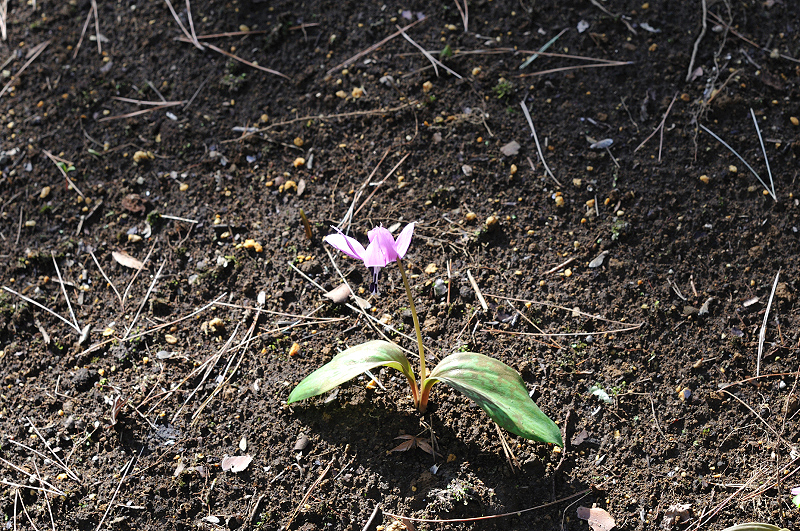 image0162