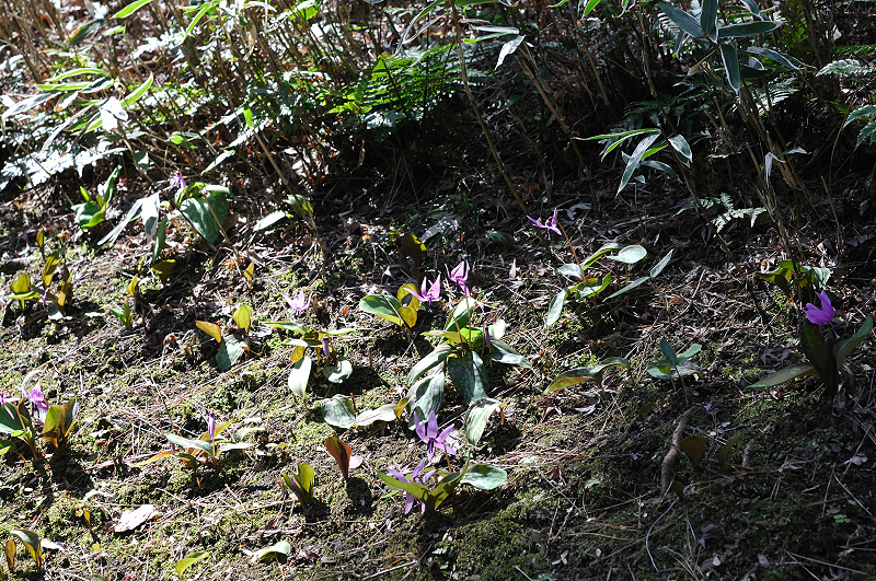 image0163