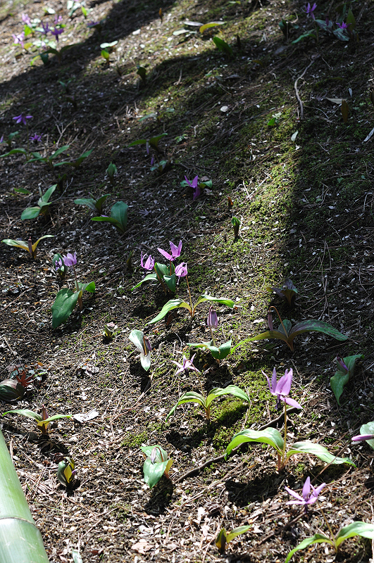 image0164