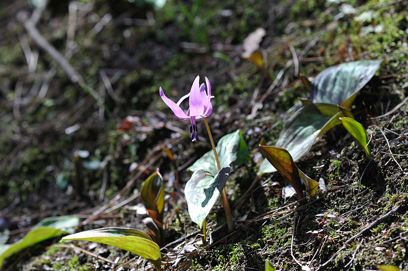 image0165