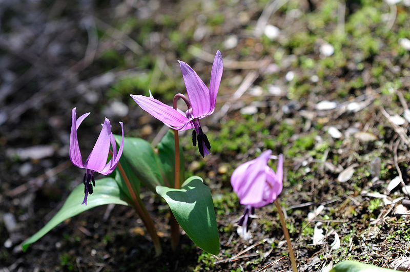 image0166