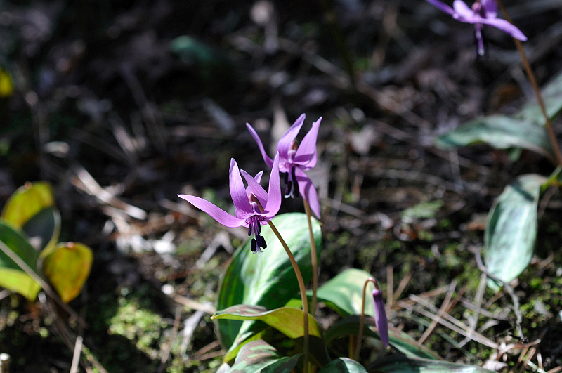image0167