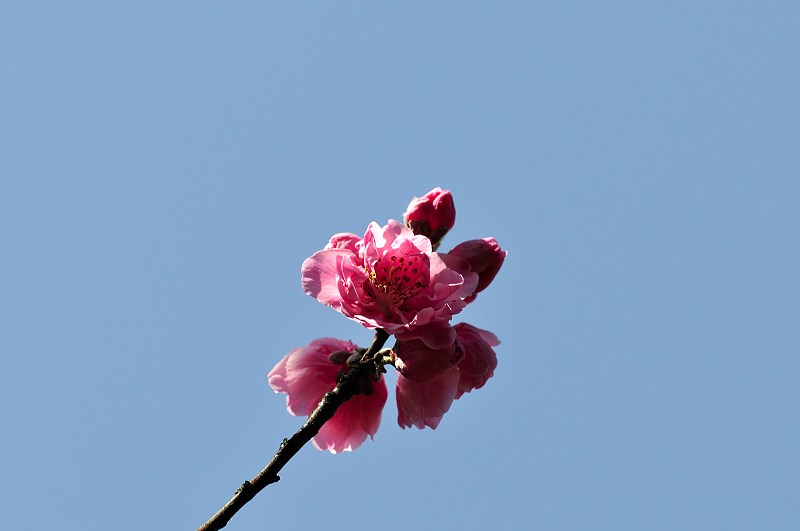 image0168