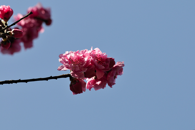 image0169
