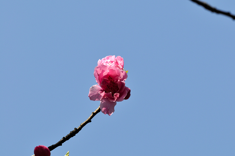 image0170