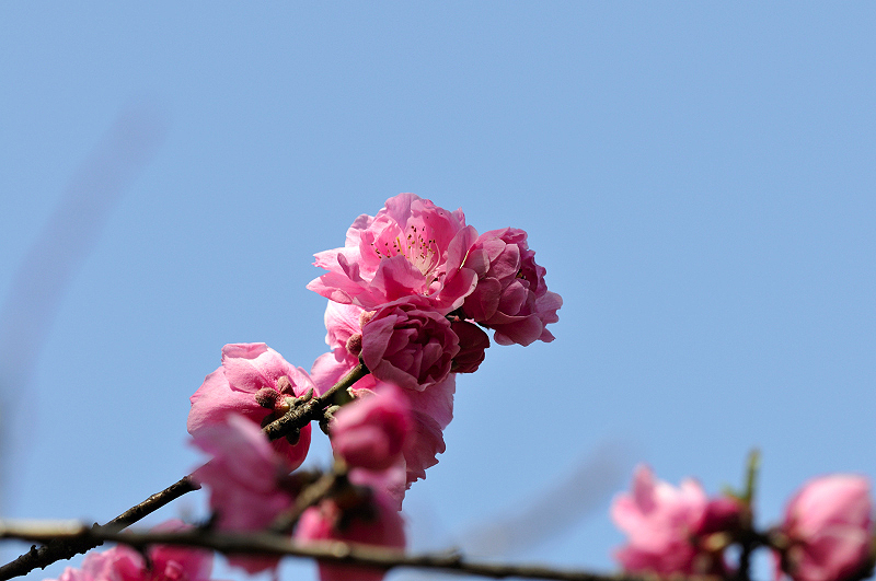 image0171