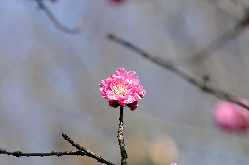 image0177