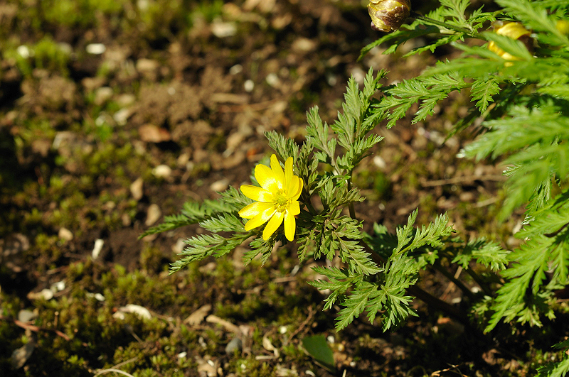 image0181