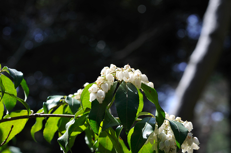 image0184