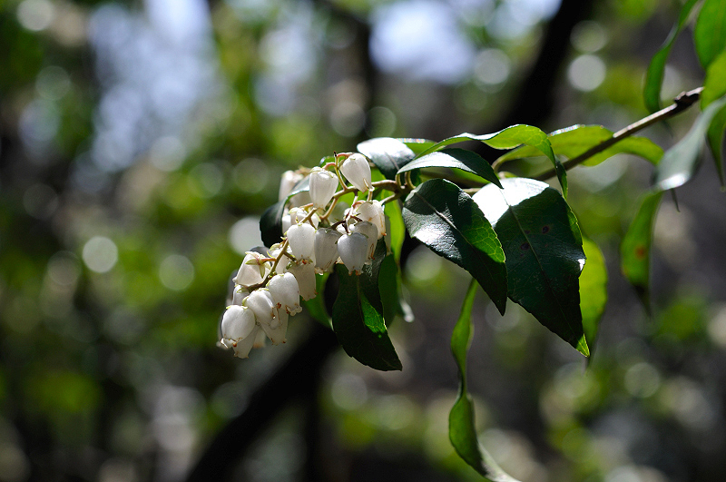 image0186