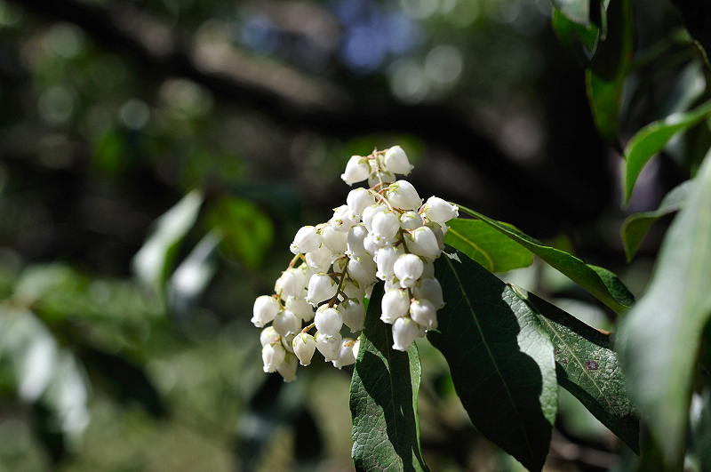 image0188