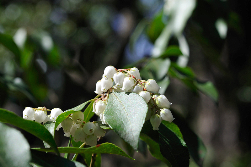 image0189