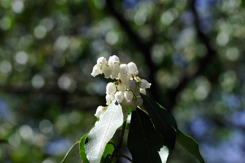 image0190