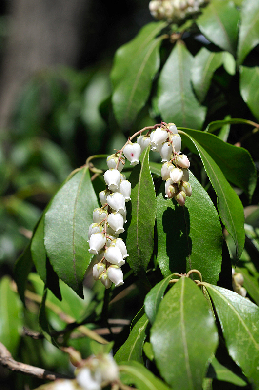 image0191