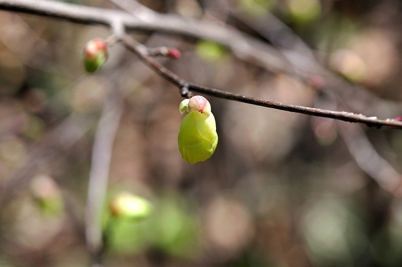 image0193