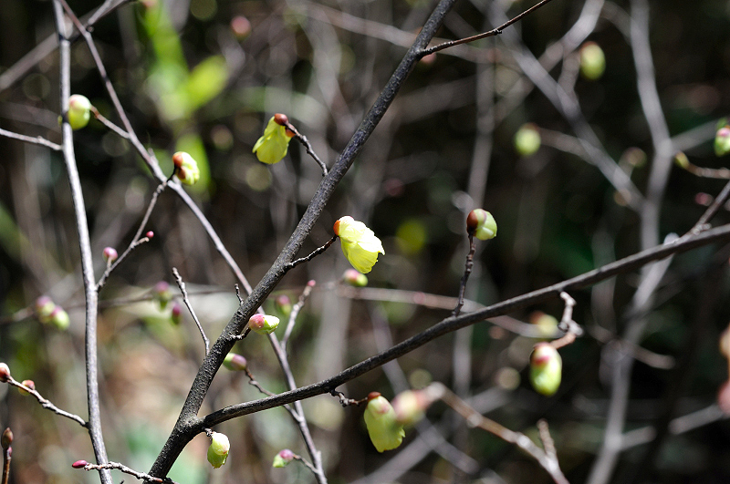 image0195