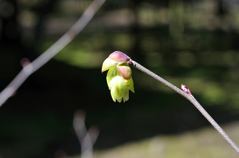 image0197