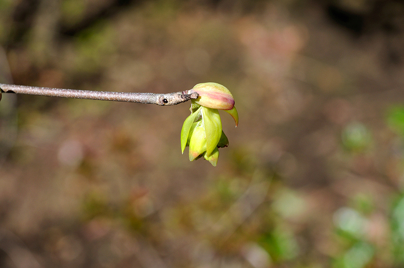 image0198