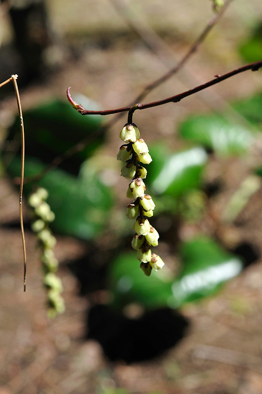 image0202