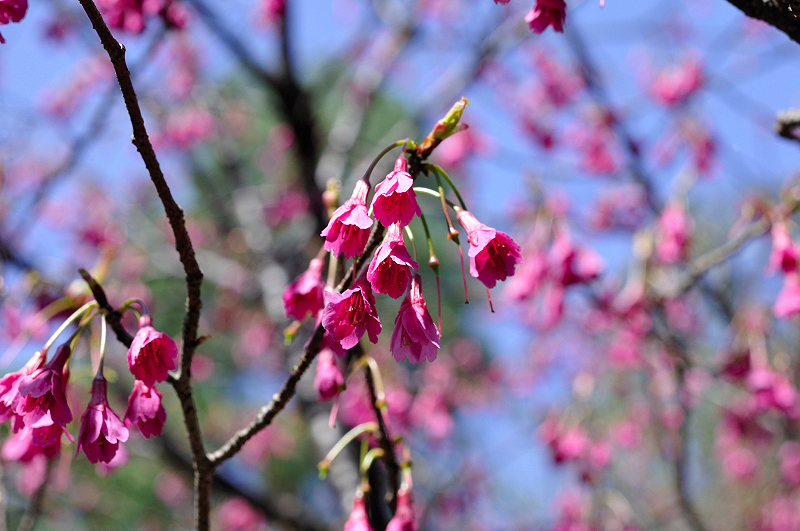 image0203