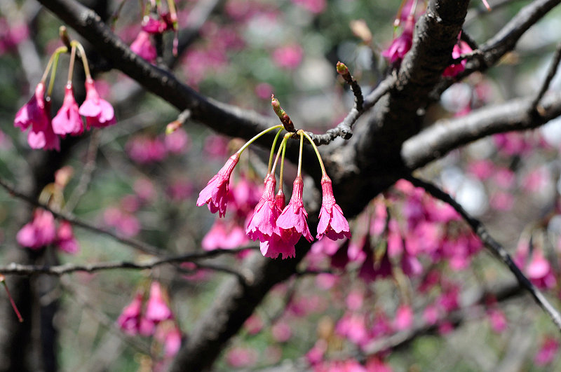 image0206