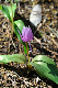 image0128