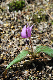 image0129