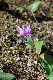 image0130