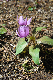 image0131