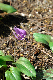image0132