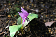 image0133