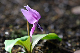 image0134