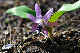 image0135
