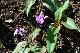 image0137