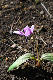 image0138