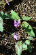 image0139