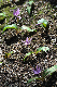 image0140