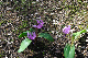 image0141
