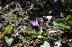 image0143