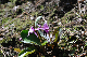 image0144