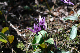 image0145