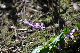 image0146
