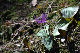 image0147
