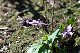 image0148