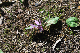 image0149