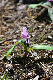 image0150