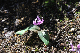 image0151