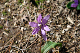 image0152